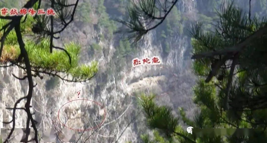 食品级POM C 13021 美国塞拉尼斯(泰科纳)pom塑料颗粒